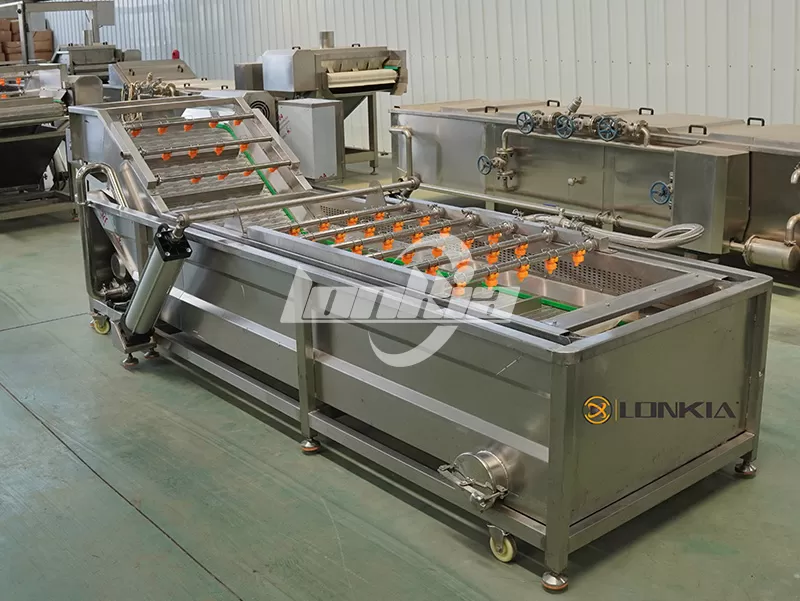 Choosing the Right Blueberry Cleaning Equipment: A Complete Guide