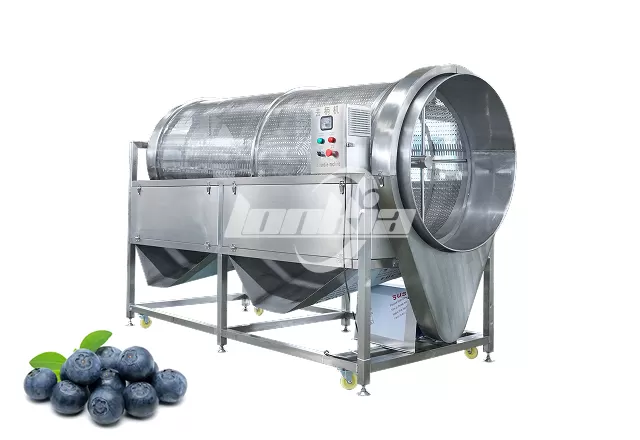 Blueberry Destemmer