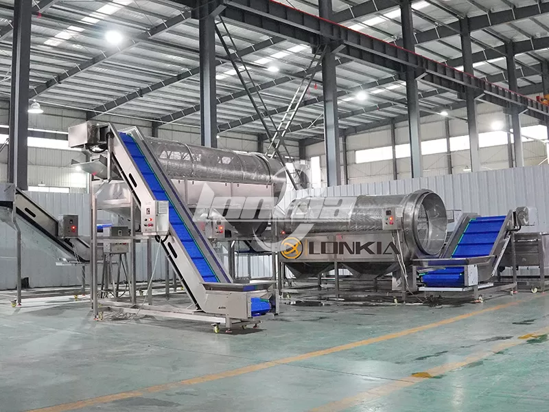 How to Build a High-Efficiency Blueberry Processing Plant?