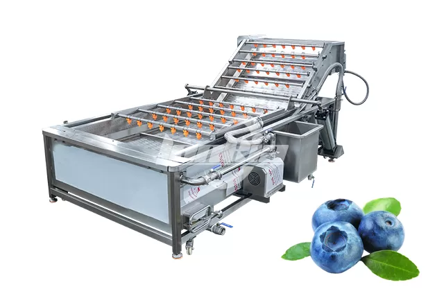 Blueberry Washing Machine
