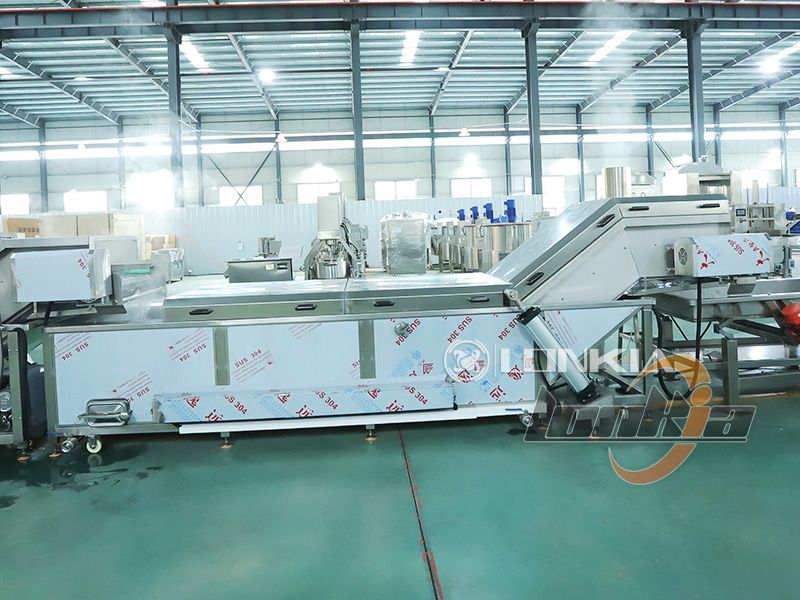 lonkia potato blanching machine