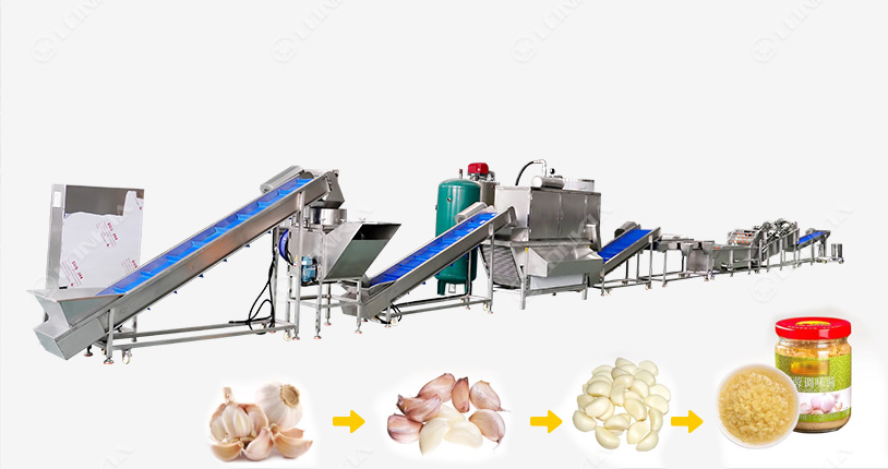 Garlic Peeling Processing Line