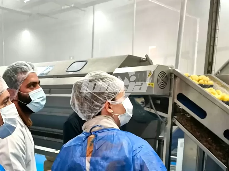 client in automatic frozen French fries plant