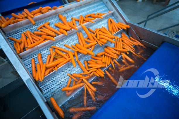Applications of Carrot Sorters Beyond Carrots