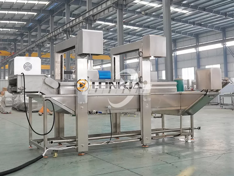 continuous deep fryer