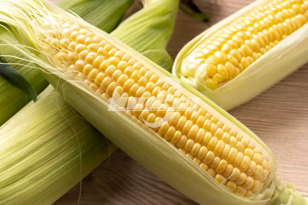 Corn Processing Machine Price Guide: What Affects Corn Processing Plant Cost?
