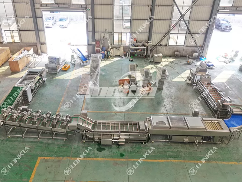 Cucumber Washing Line with Bubble Cleaning Brush Washing Grading for Korea