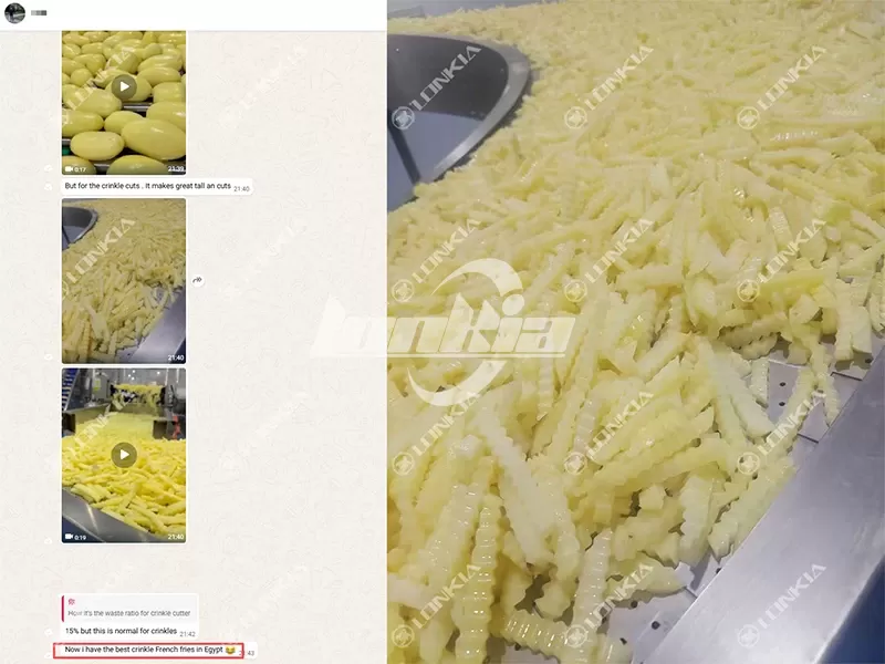 1.5 Ton Frozen French Fries Line Receives Excellent Feedback from Egyptian Customer
