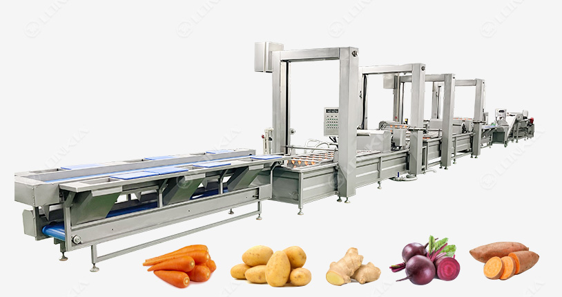 Root Vegetable Washing Peeling Line