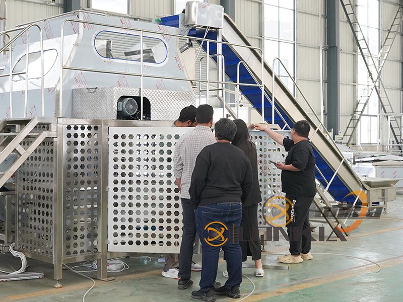 clients visit steam peeling machine