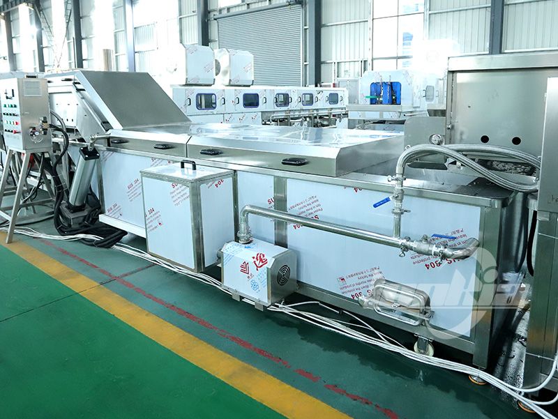Blanching Machine Price Guide: Key Elements That Impact Cost