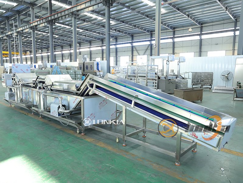 Why Stainless Steel Matters in a Fruit and Vegetable Wash Machine?