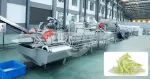 Leaf Vegetable Cutting and Washing Line