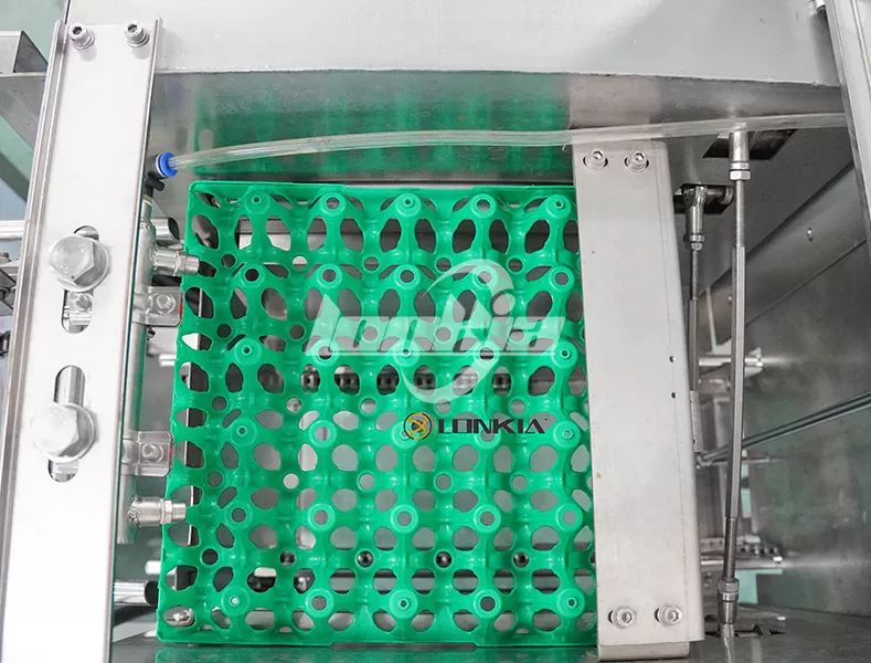 egg tray