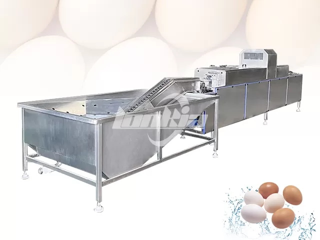 Egg Washing Line