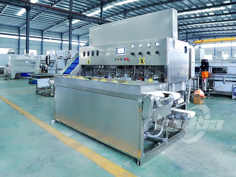 Applications of Mango Peeling Machines in Juice and Canning Industries