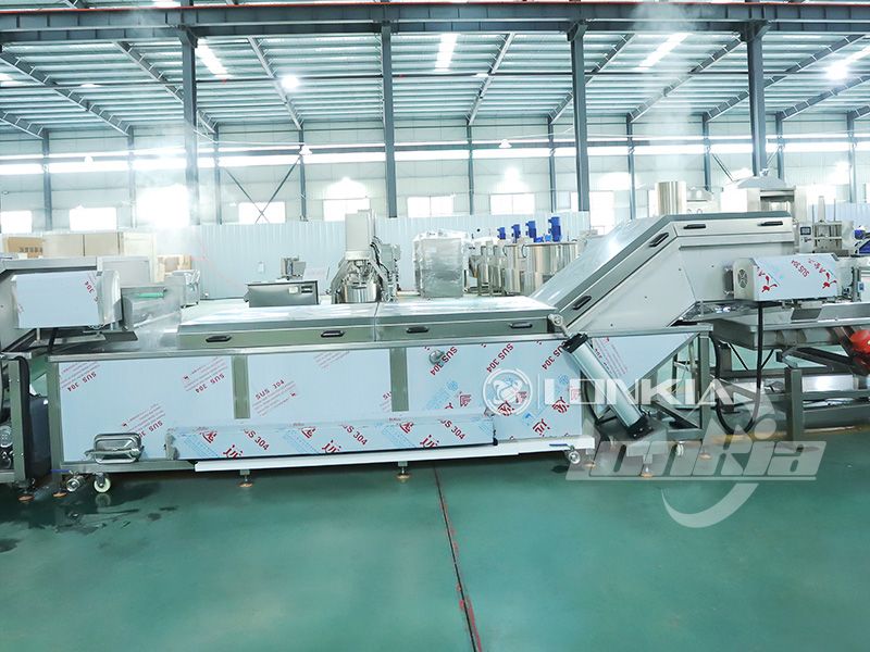 Blanching Machine Price Guide: Key Elements That Impact Cost - LONKIA ...