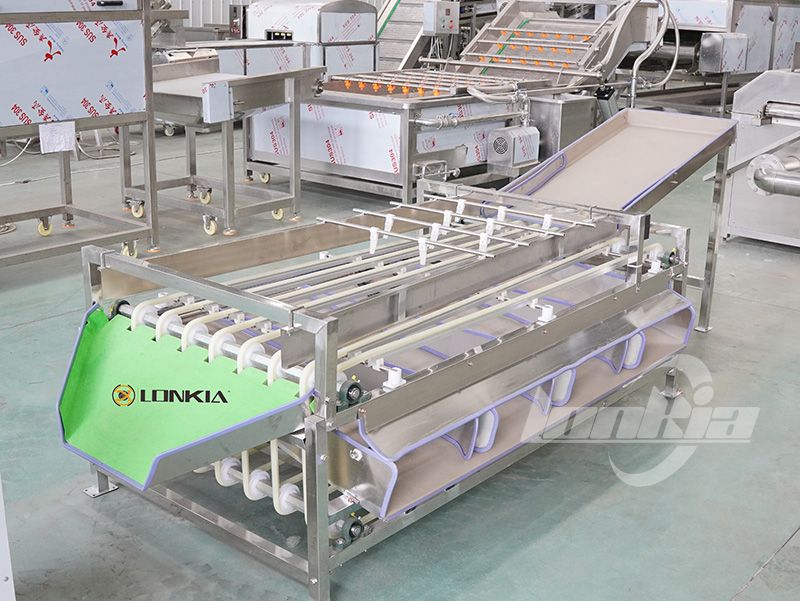 tomato sorting machine