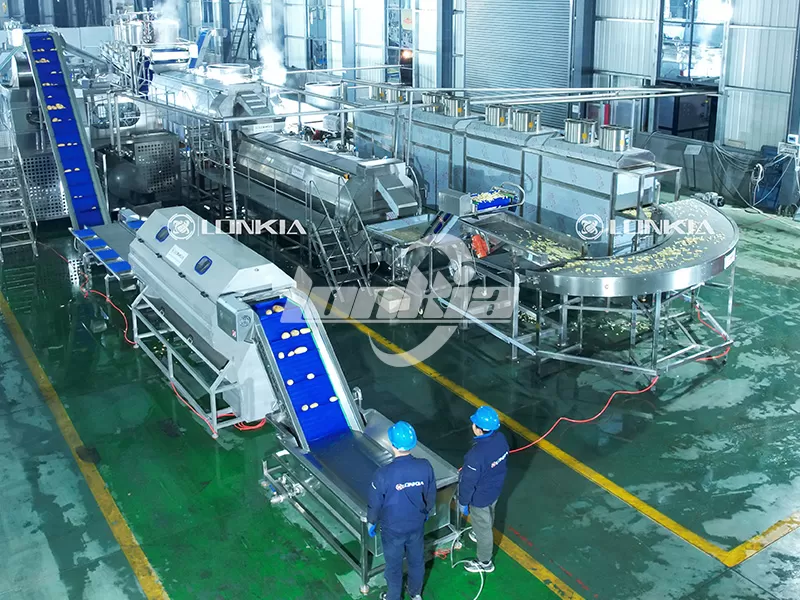 How Automation in French Fries Making Machines Save Labor?