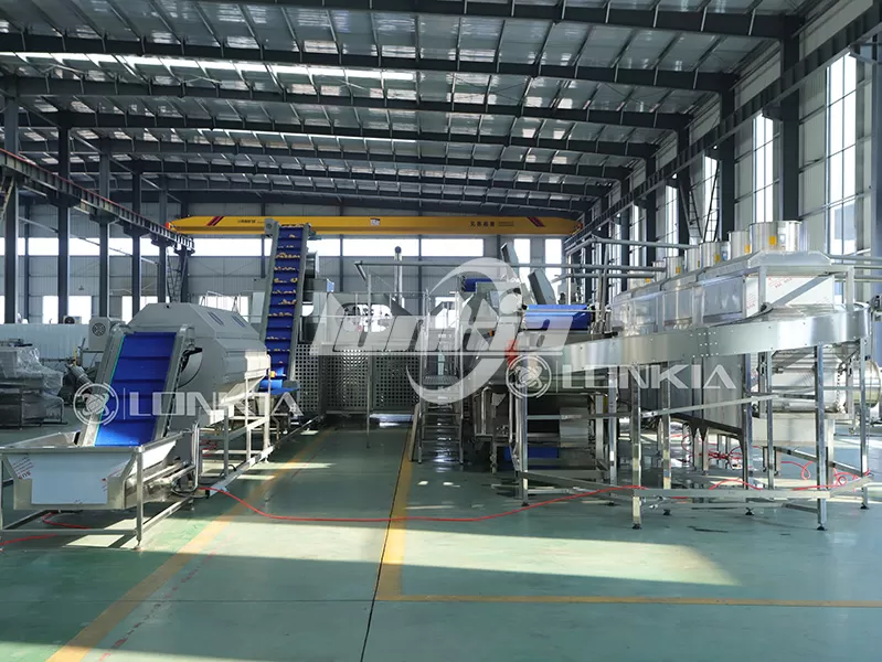 French fries making machine factory