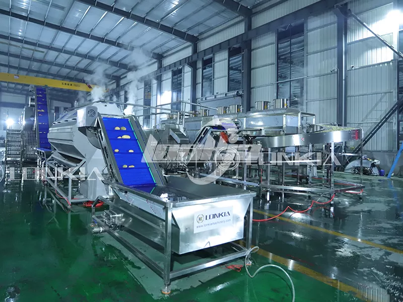 How Much Does It Cost to Start a French Fries Processing Plant?