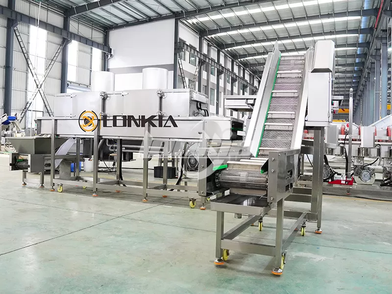 French fries processing plant processing
