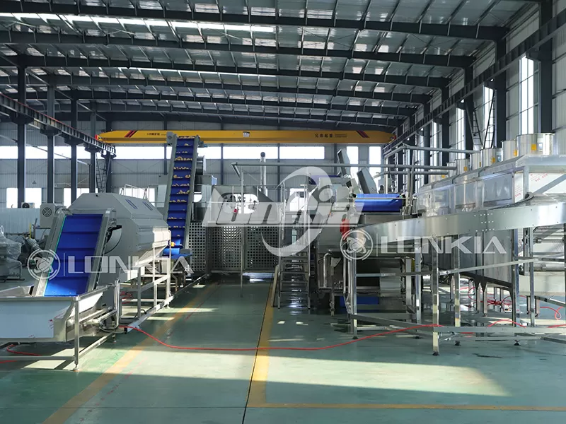 Potato Fries Making Machine: What to Know Before Buying?