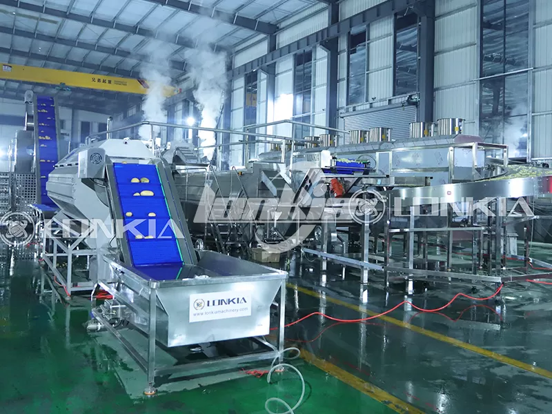 Frozen French Fries Line Plant