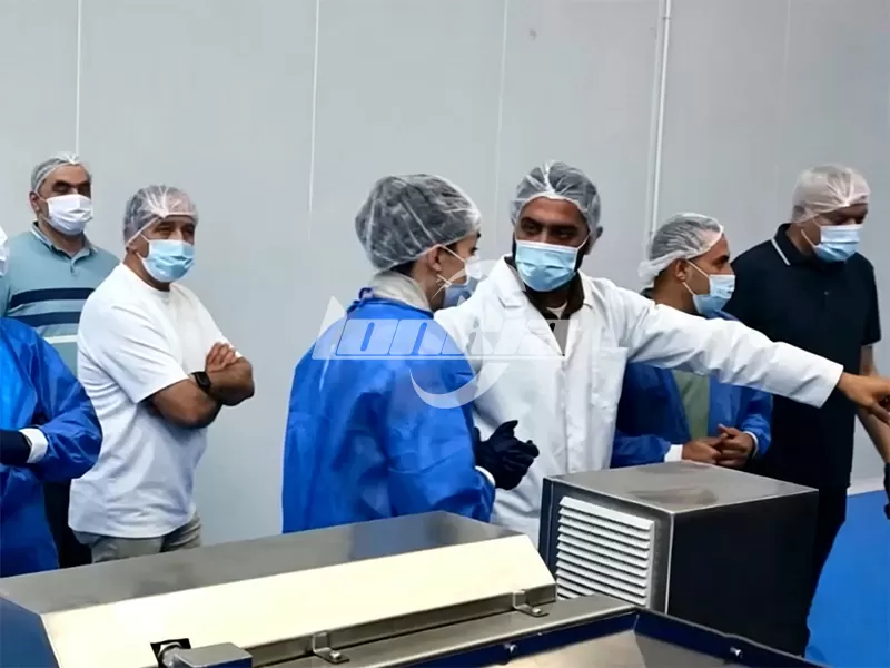 frozen French fries processing line in action
