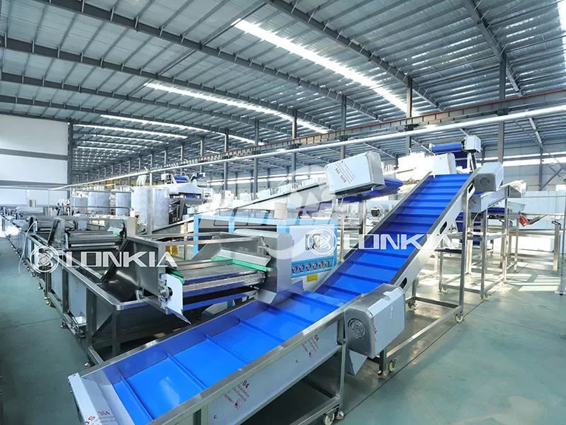 Potato Fries Making Machine Installation: How Long Does It Take?