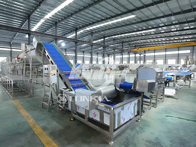 What Capacity Fruit and Vegetable Processing Equipment Is Suitable for Your Factory?