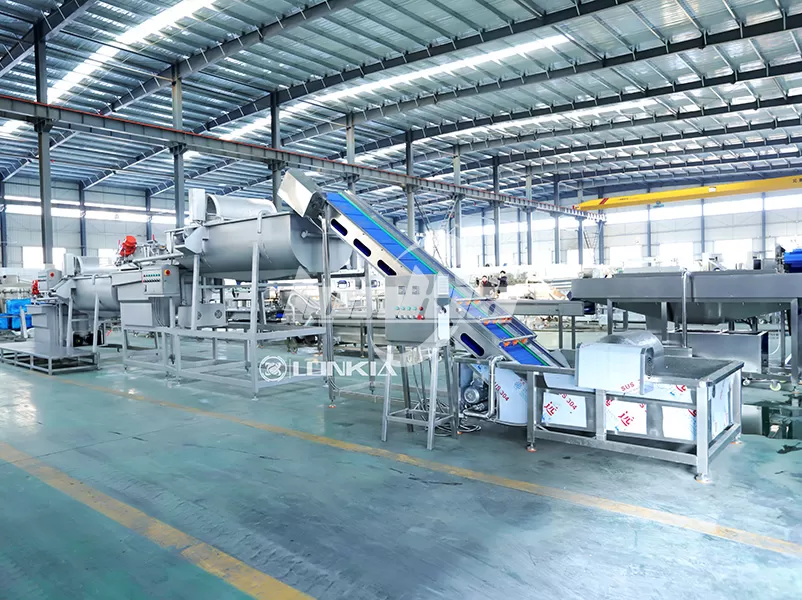Why Invest in a Fruit and Vegetable Processing Line for Food Processing Plant?