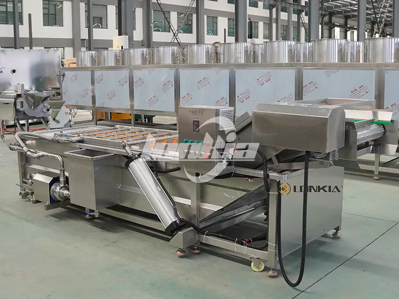 How to Choose the Right Fruit and Vegetable Washer Machine for Your Processing Capacity?