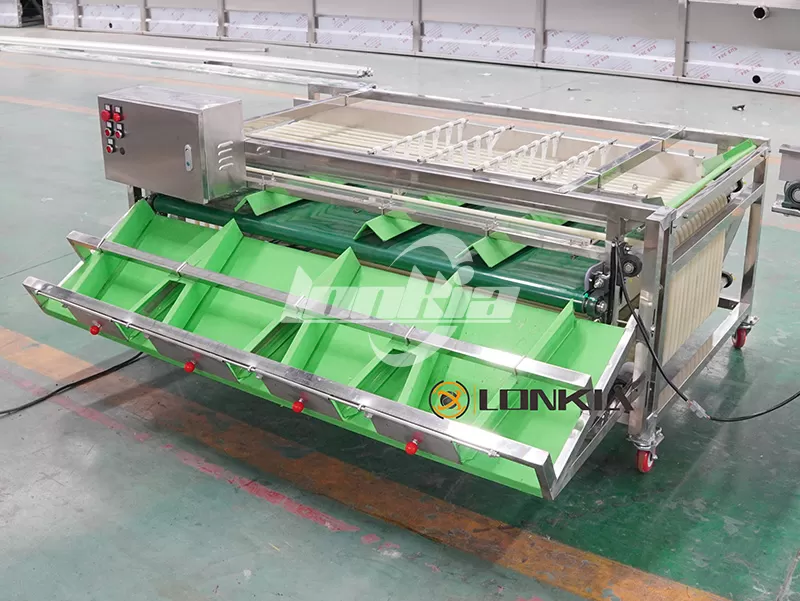 Fruit Grading Machine for sale
