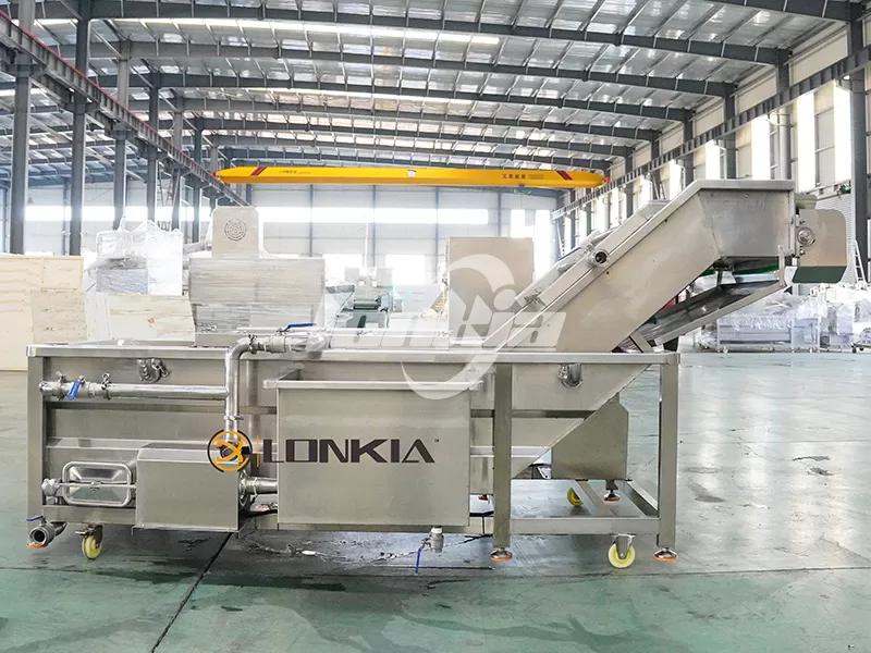 fruit washer machine