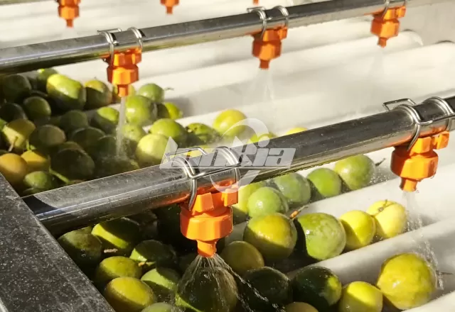 fruit washing machine