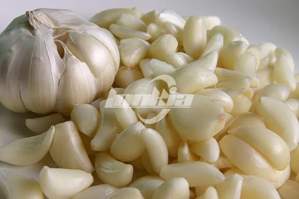 How Does a Garlic Peeler Machine Remove Garlic Skin Without Damaging the Cloves?