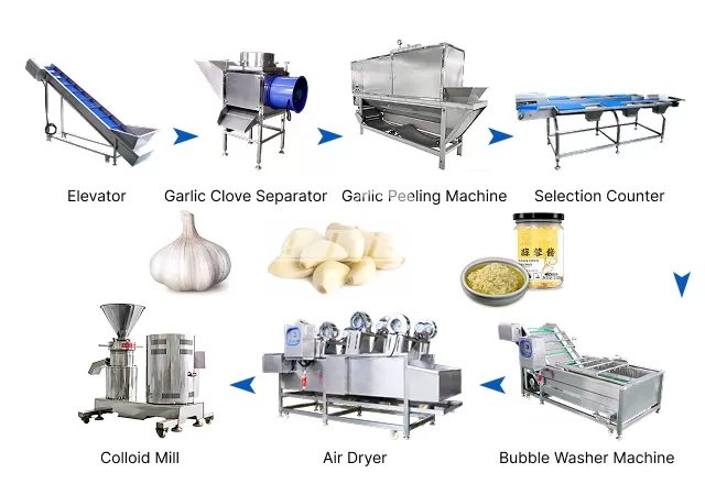 Garlic Paste Production Line
