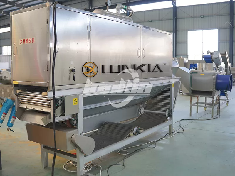 garlic peeling machine manufacturer