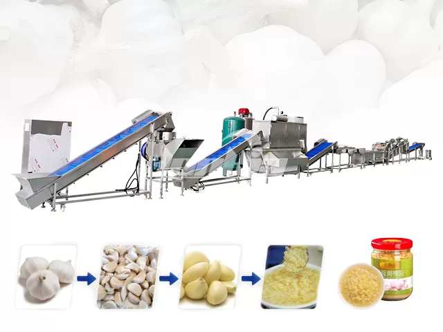 Garlic Peeling Processing Line