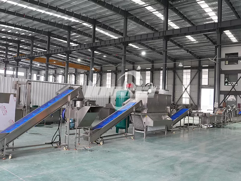 How to Choose the Right Garlic Processing Machine for Your Garlic Business?
