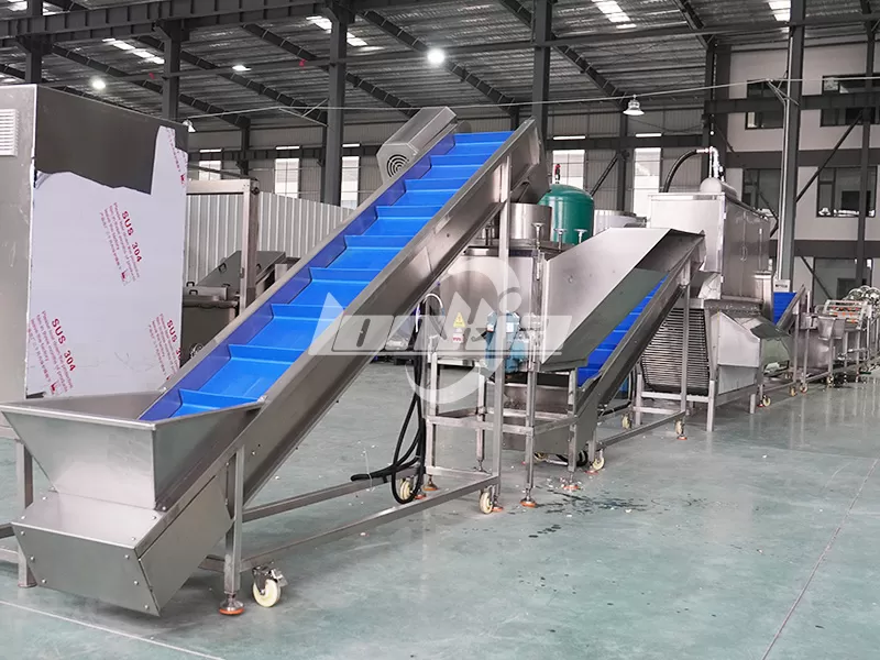 How to Choose the Right Garlic Processing Machine for Your Garlic Business?