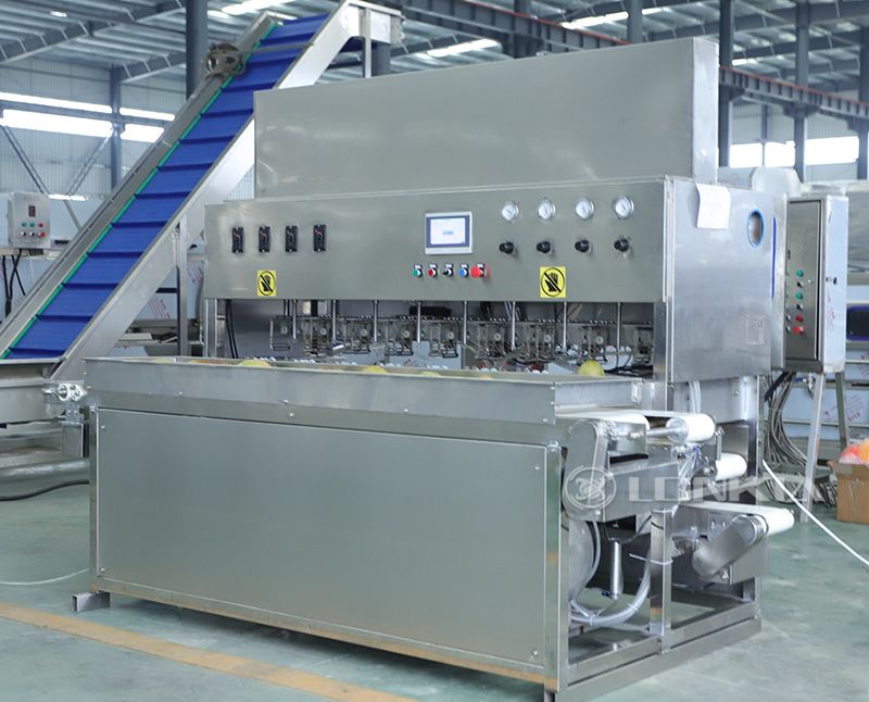 Mango Peeler Machine in Factory