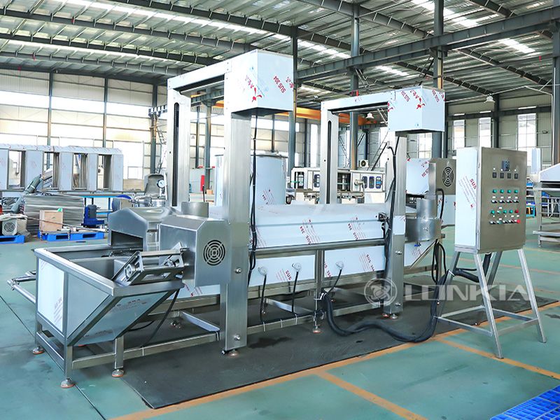 automatic continuous fryer