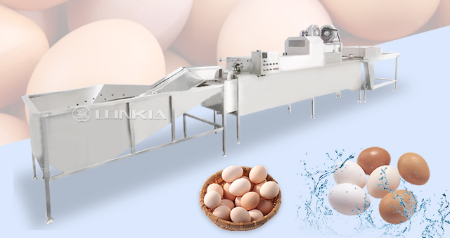 Egg Washing Line