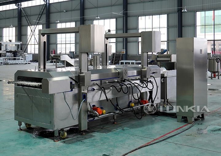 Continuous Fryer
