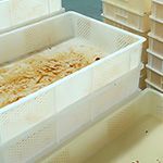 Crate