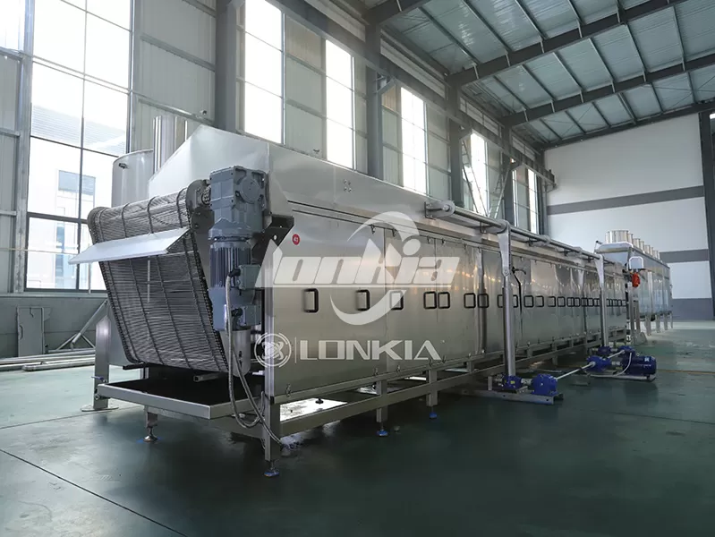 Potato Chips Fry Machine