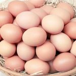 Cleaned Eggs