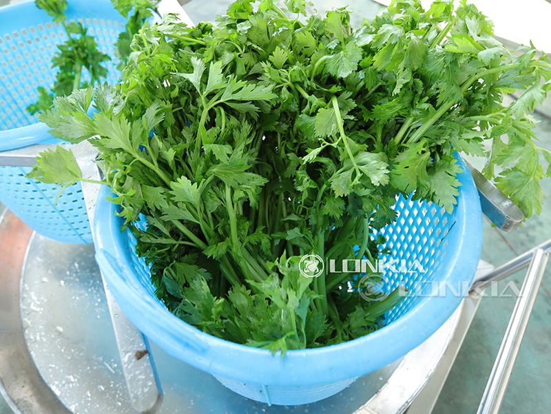 parsley in basket
